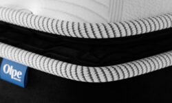 ASPEN MULTILASTIC_0008