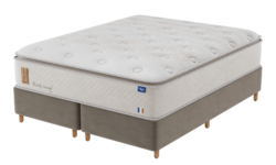 BEVERLY VISCOGEL SOFT_.png0001