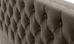 CABECEIRA-CAPTONE-CORES-FI0006