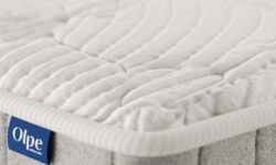 GERMAIN MULTI VISCO.png0008