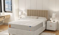 GERMAIN MULTI VISCO.png0014