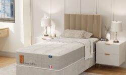 GERMAIN MULTI VISCO.png0015