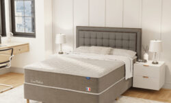 LOUVRE MULTILASTIC_0014