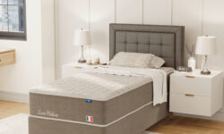 LOUVRE MULTILASTIC_0015