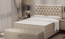 R-CAPTONE-amb1.png0016