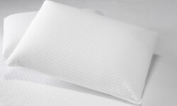 WhatsApp Image 2024-02-02 at 10.13.06 (1)