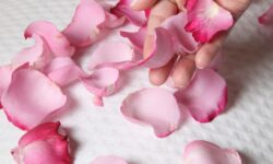 WhatsApp Image 2024-02-02 at 10.13.06